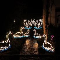 The annual stroll around Angarrack #angarrack #christmas #7swansaswimming #river #christmaslights #cornwall